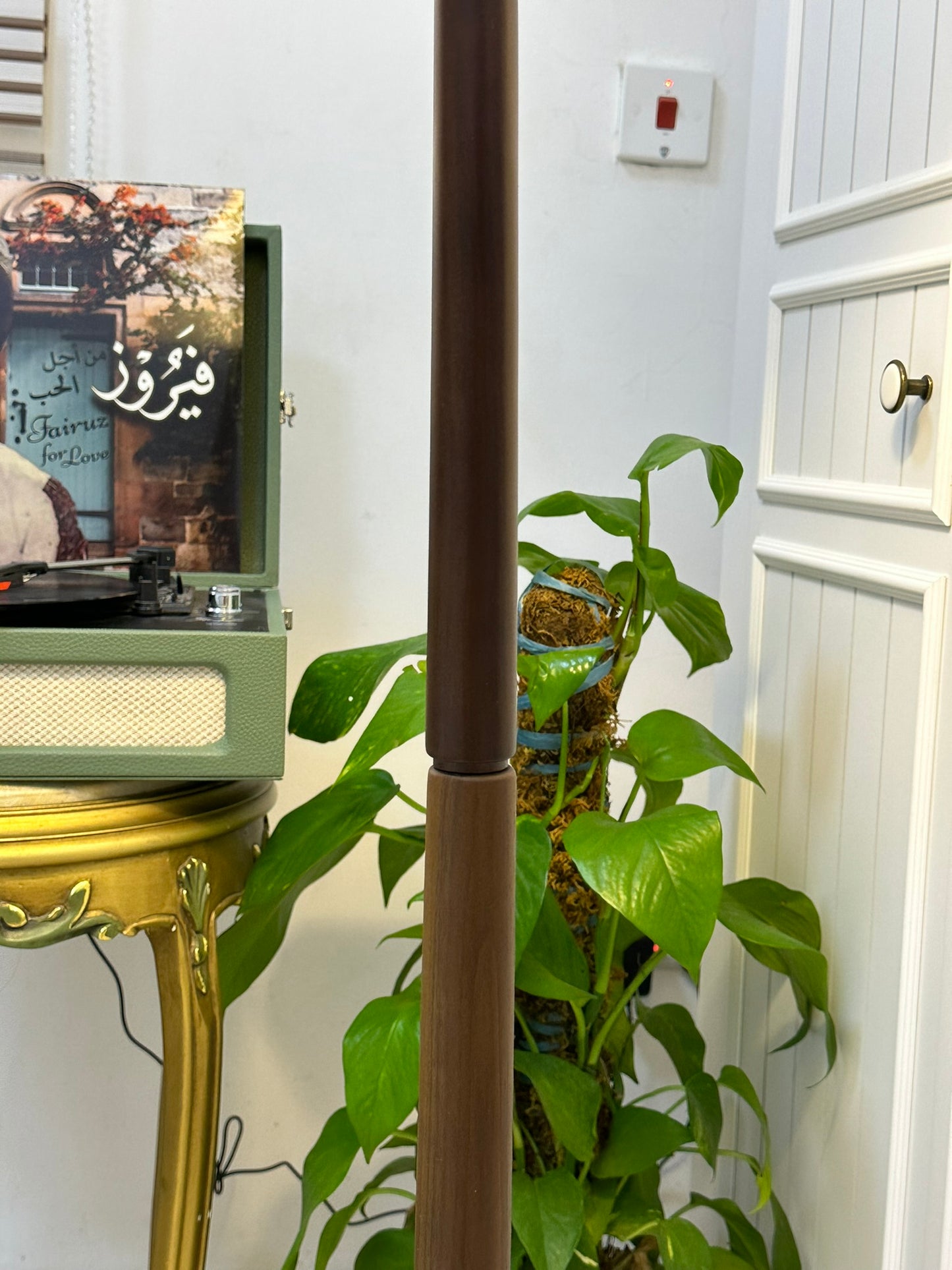 Slim Dark Brown Floor Lamp