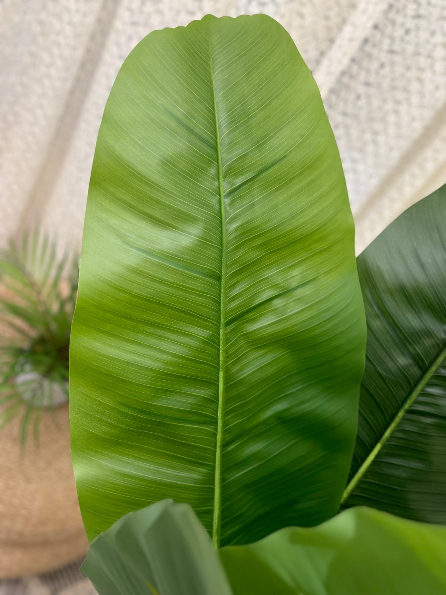 Artificial Banana Tree Plant – Tall Tropical Green Decor in Black Pot Artificial Plants CODE 2638