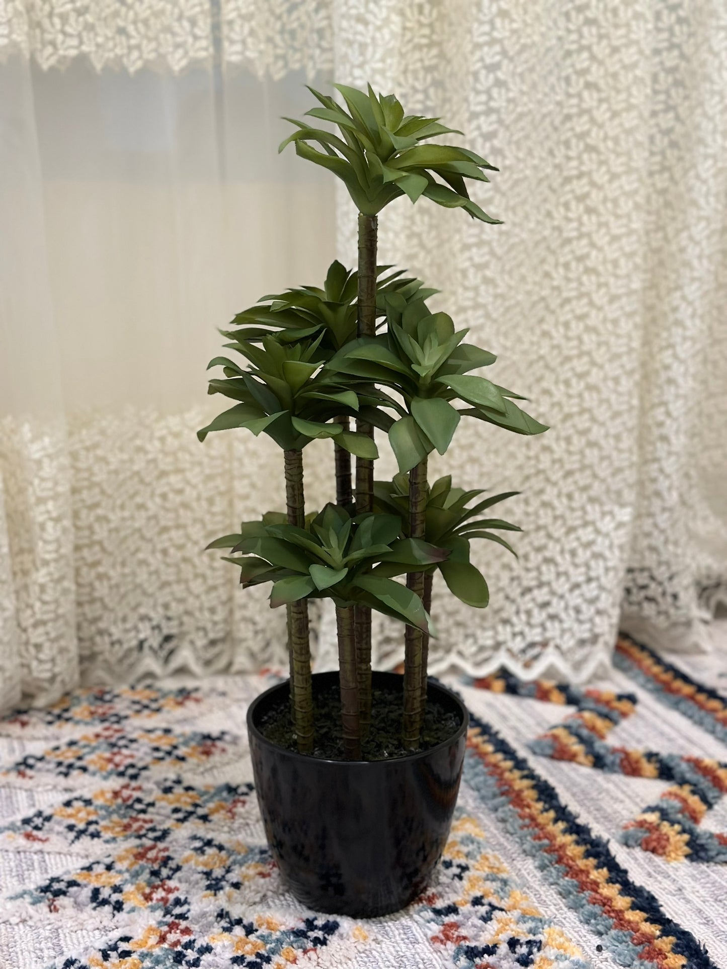 Artificial Multi-Stem Succulent Plant – Modern Style in Black Ceramic Pot Artificial Plant CODE 2633