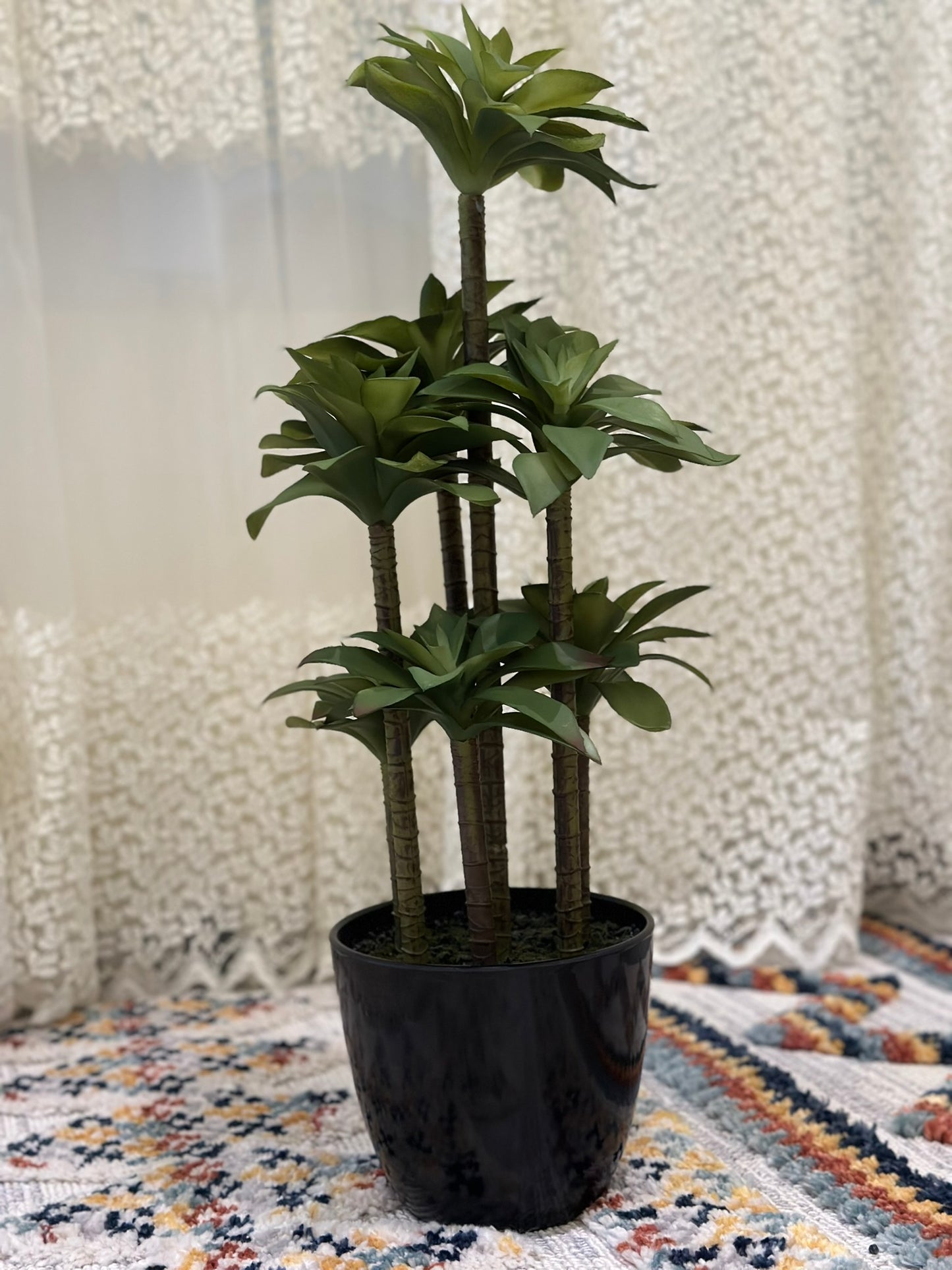 Artificial Multi-Stem Succulent Plant – Modern Style in Black Ceramic Pot Artificial Plant CODE 2633
