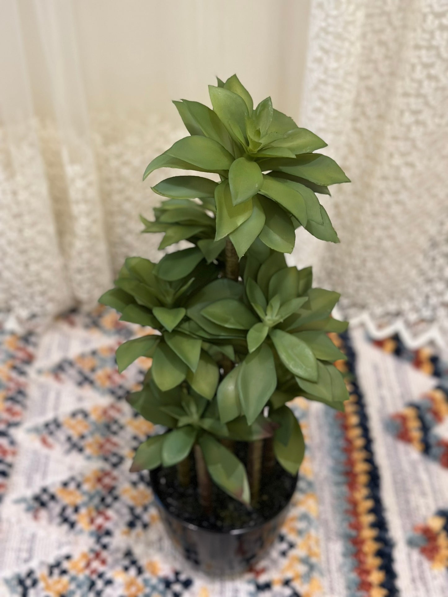 Artificial Multi-Stem Succulent Plant – Modern Style in Black Ceramic Pot Artificial Plant CODE 2633