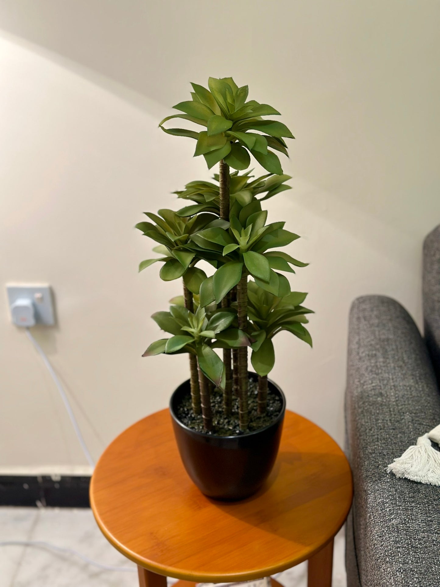 Artificial Multi-Stem Succulent Plant – Modern Style in Black Ceramic Pot Artificial Plant CODE 2633