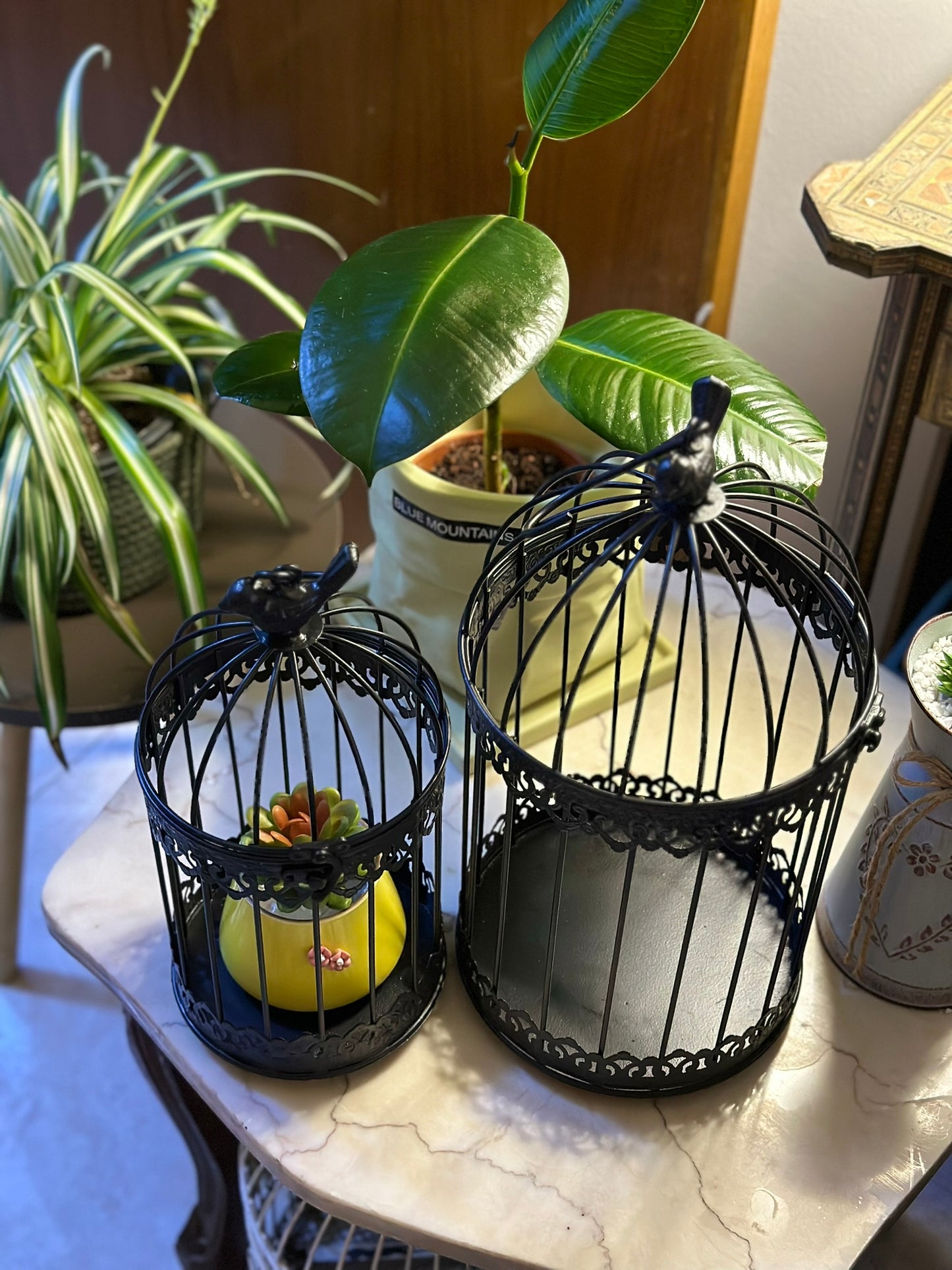 Vintage Black Decorative Birdcage Set – Iron Wire (Set of 2) CODE 0288